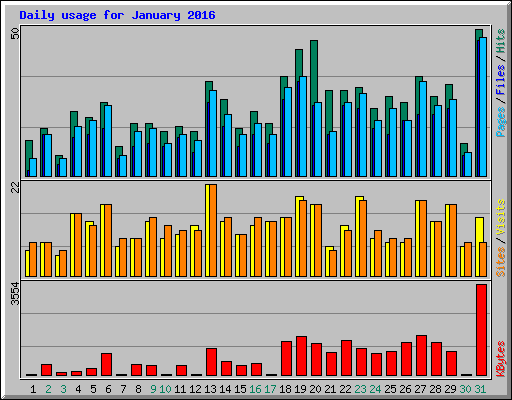 Daily usage for January 2016