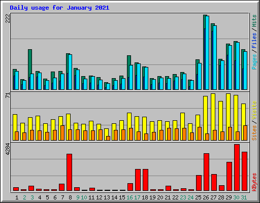 Daily usage for January 2021