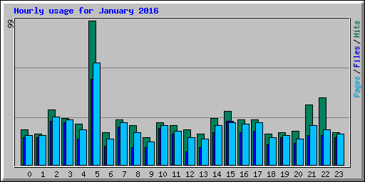 Hourly usage for January 2016