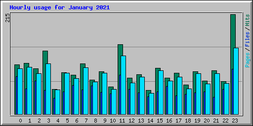 Hourly usage for January 2021