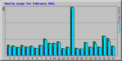 Hourly usage for February 2021