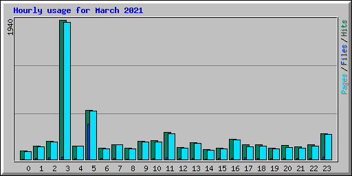 Hourly usage for March 2021