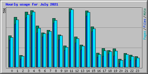 Hourly usage for July 2021