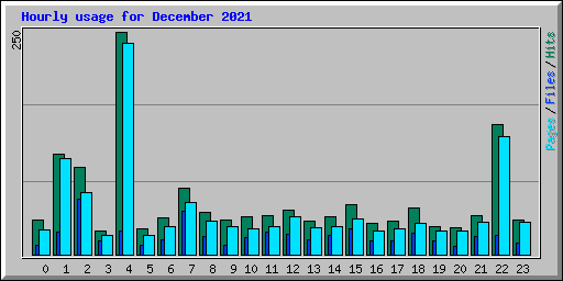 Hourly usage for December 2021