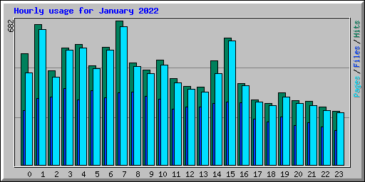 Hourly usage for January 2022