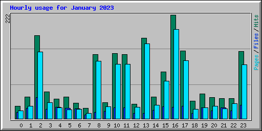 Hourly usage for January 2023