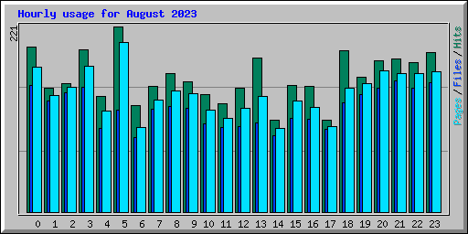 Hourly usage for August 2023