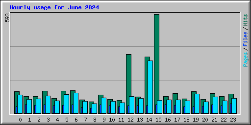 Hourly usage for June 2024