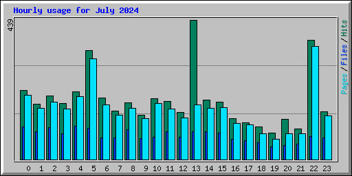 Hourly usage for July 2024