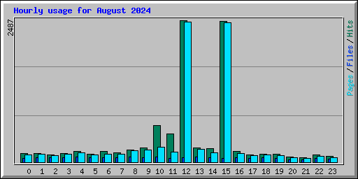 Hourly usage for August 2024