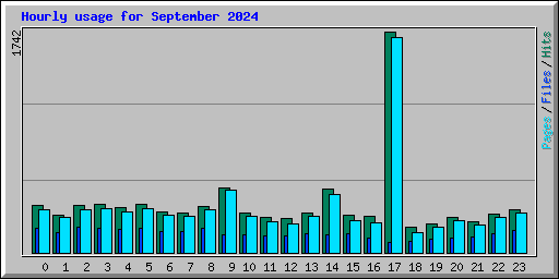 Hourly usage for September 2024
