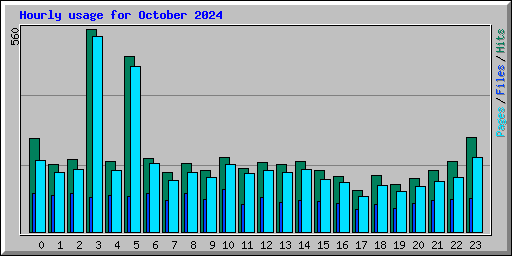 Hourly usage for October 2024