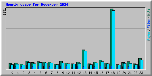 Hourly usage for November 2024