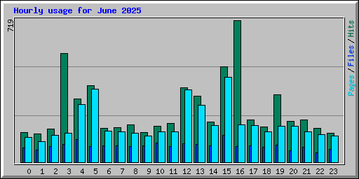 Hourly usage for June 2025