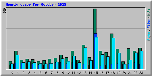Hourly usage for October 2025