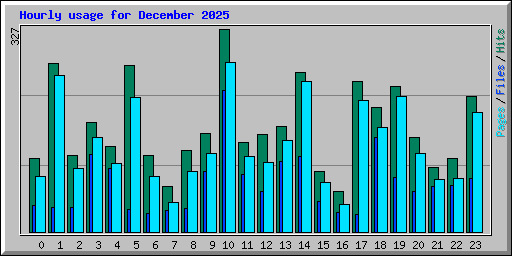 Hourly usage for December 2025