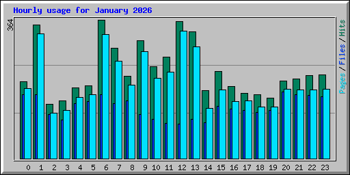 Hourly usage for January 2026